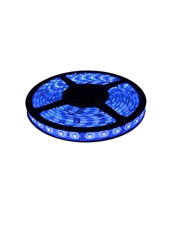 Fita de Led 3528 60 Leds por metro IP65 Rolo 5m Azul 12V (2)
