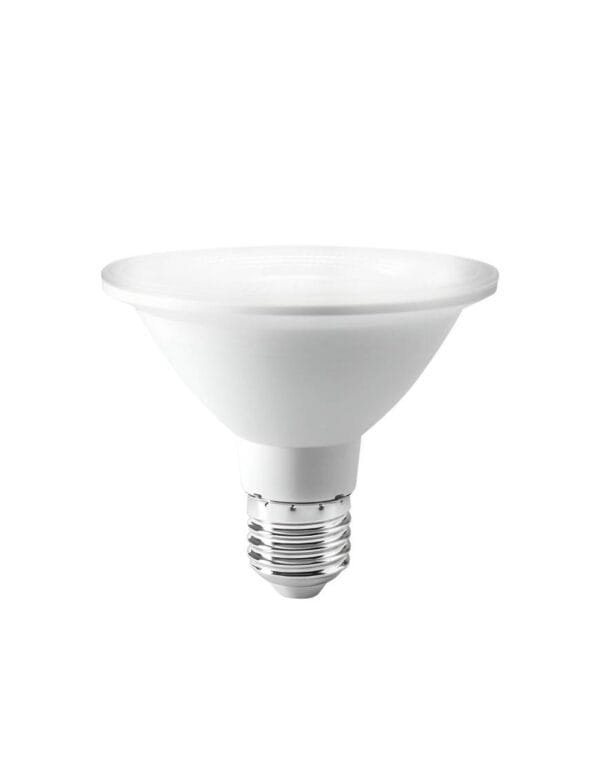 Lâmpada LED Par 30 11w Branco Frio (1)