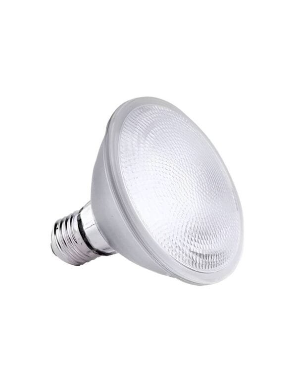 Lâmpada LED Par 30 11w Branco Frio (2)